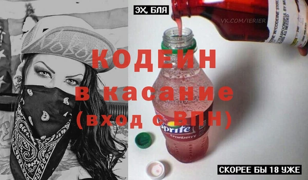 прущие грибы Сосновка
